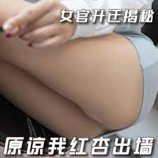 女官升迁揭秘:原谅我红杏出墙